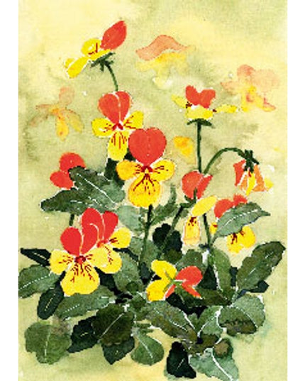 Greeting card yellow violas (F12110)