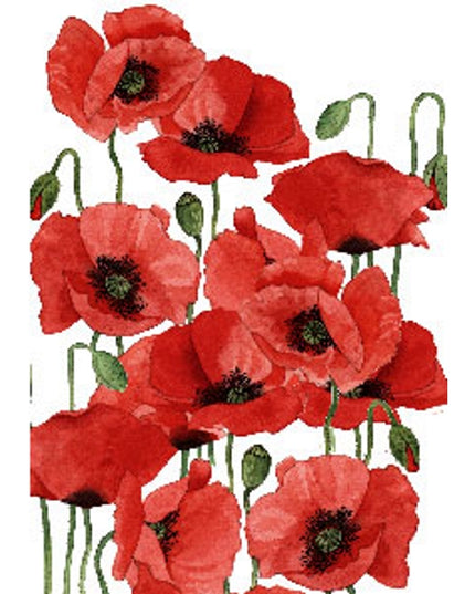 Greeting card poppies Annie (F12111)