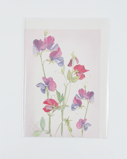 Wenskaart lathyrus (F12112)