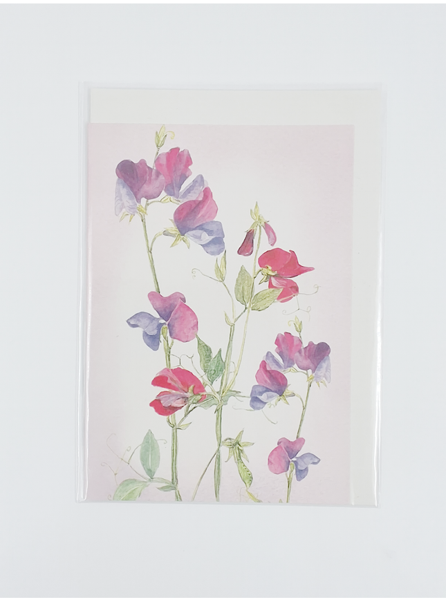 Greeting card sweet pea (F12112)
