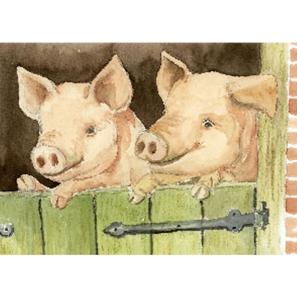 Wenskaart varkens deur (F12138)