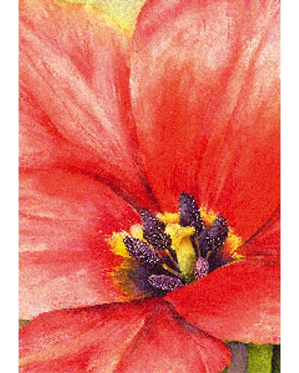 Wenskaart grote tulp (F12160)
