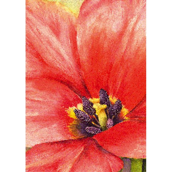 Wenskaart grote tulp (F12160)