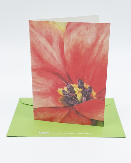 Wenskaart grote tulp (F12160)