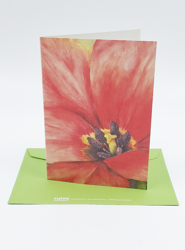 Wenskaart grote tulp (F12160)