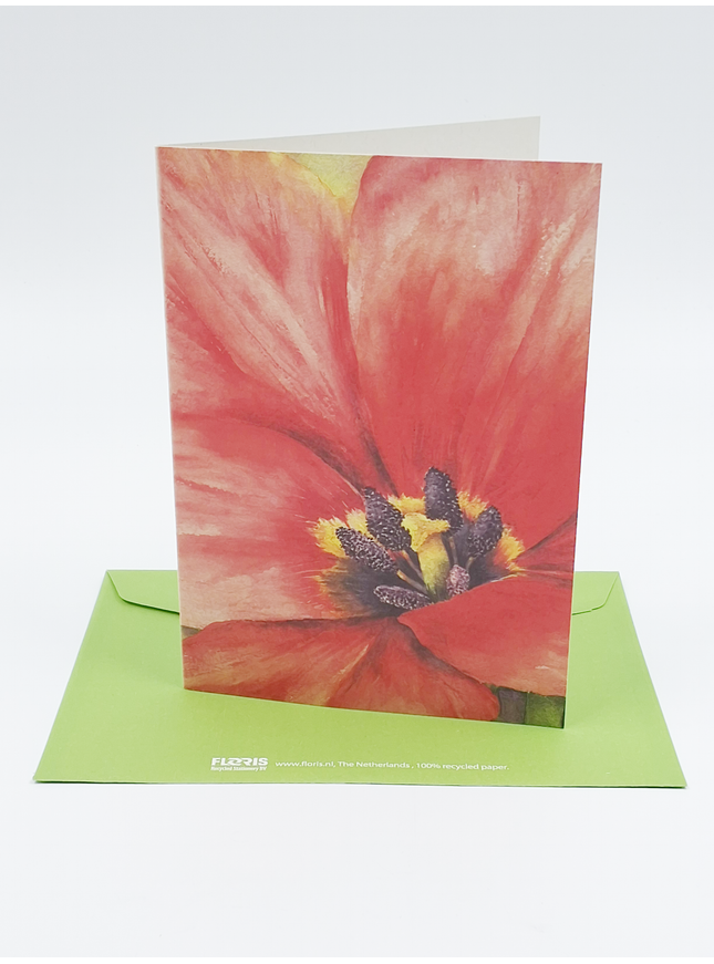 Wenskaart grote tulp (F12160)