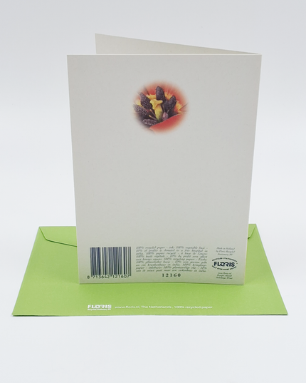 Wenskaart grote tulp (F12160)