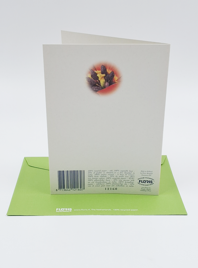 Wenskaart grote tulp (F12160)