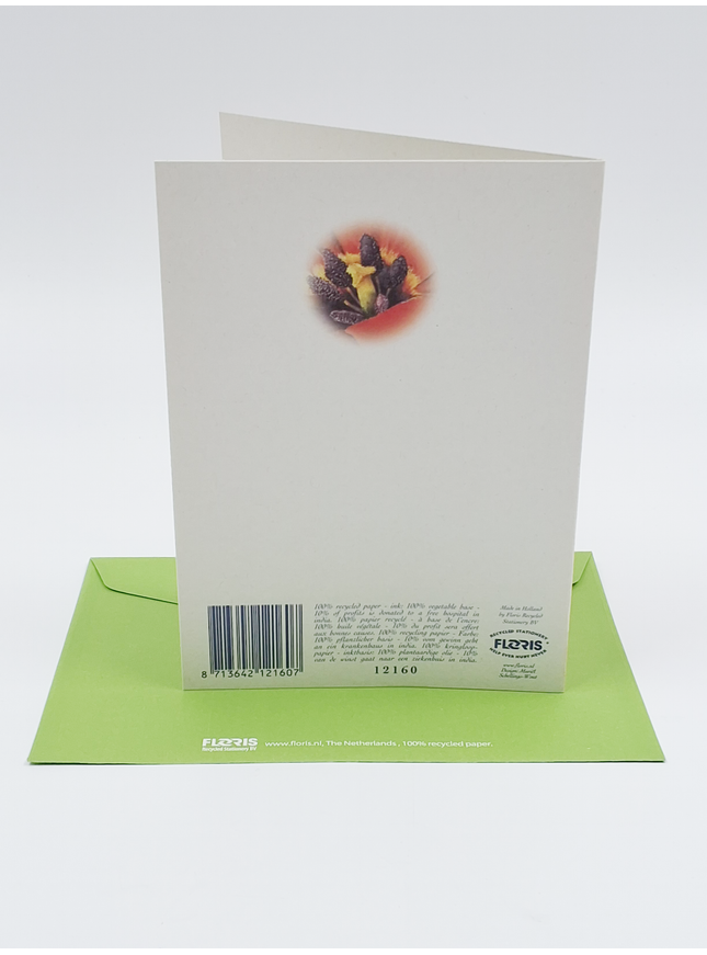 Wenskaart grote tulp (F12160)