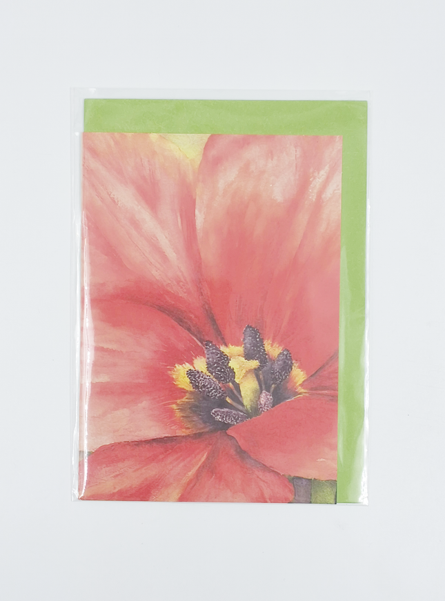 Wenskaart grote tulp (F12160)