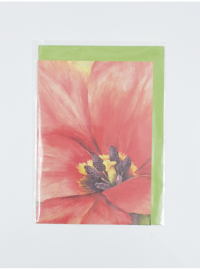 Wenskaart grote tulp (F12160)