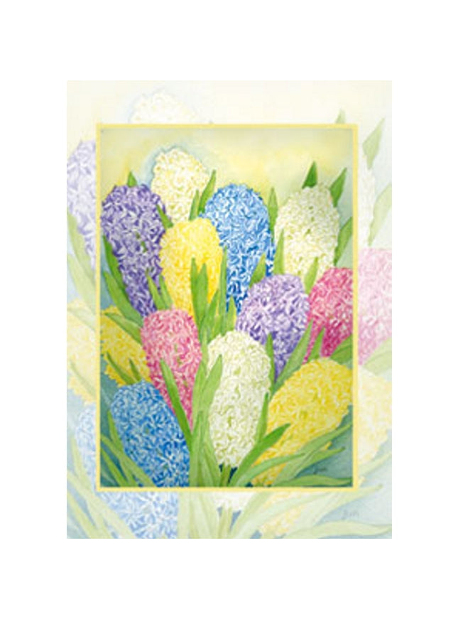 jacinthes de carte de vœux
