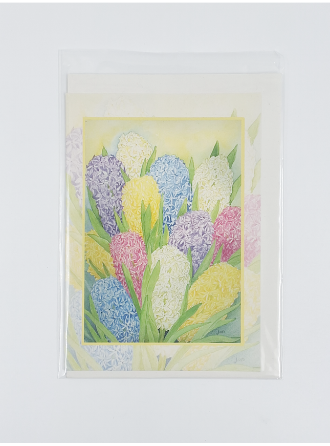 jacinthes de carte de vœux