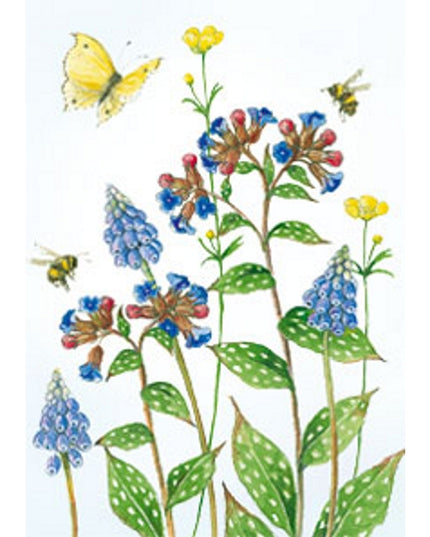 Greeting card grape hyacinths lungwort butterfly (F12218)