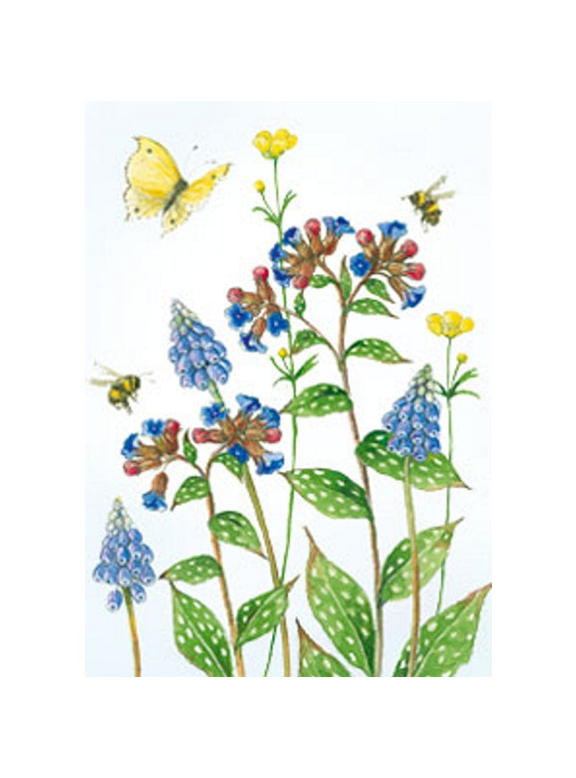 Wenskaart blauwe druifjes longkruid vlinder (F12218)