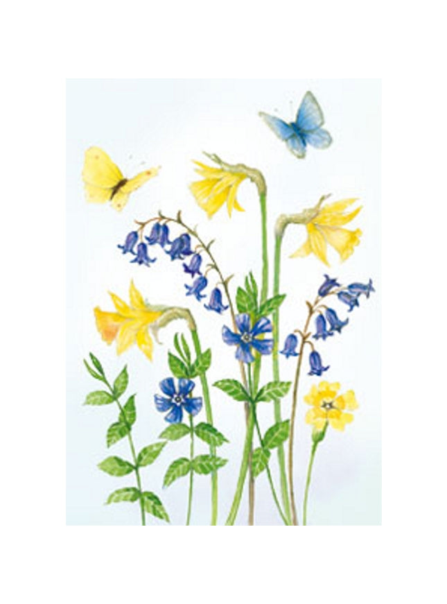 Wenskaart narcissen boshyacinten vlinders (F12219)