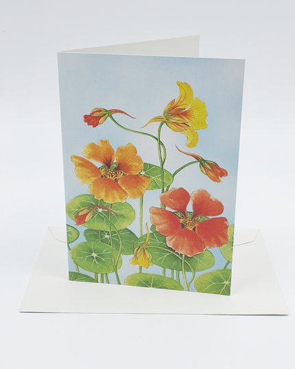 Greeting card Nasturtium Froukje (F12282)