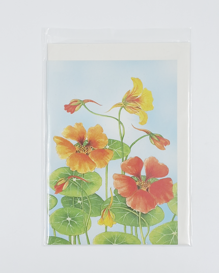 Greeting card Nasturtium Froukje (F12282)