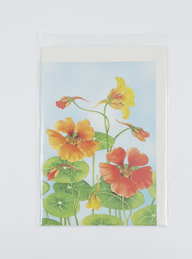 Wenskaart Oost Indische kers Froukje (F12282)