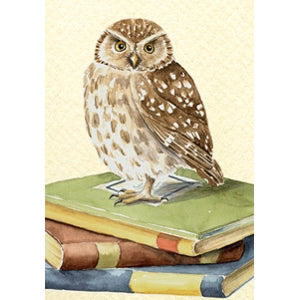 Wenskaart uil, boeken geslaagd (F12321)