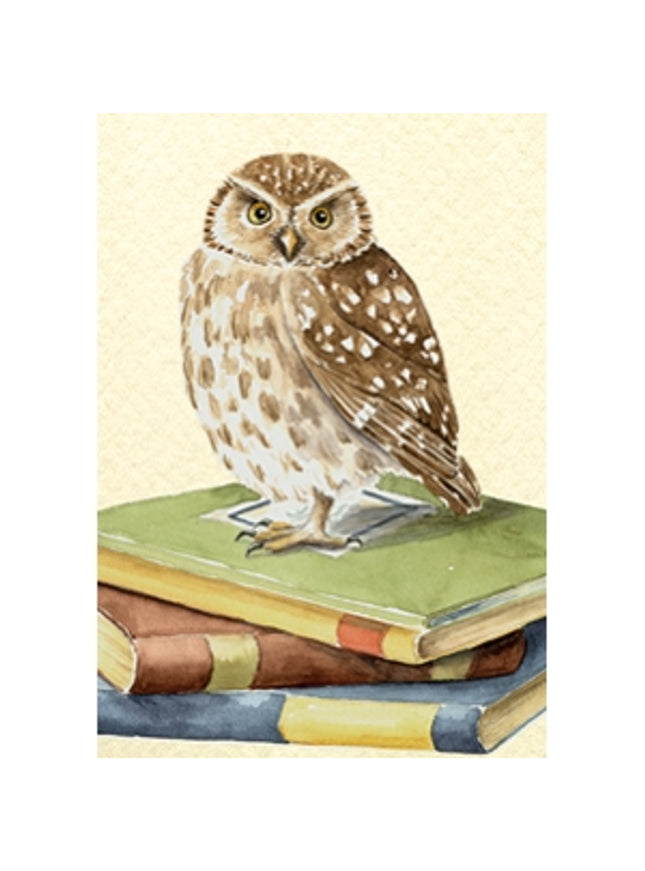 Wenskaart uil, boeken geslaagd (F12321)