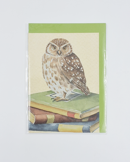 Wenskaart uil, boeken geslaagd (F12321)