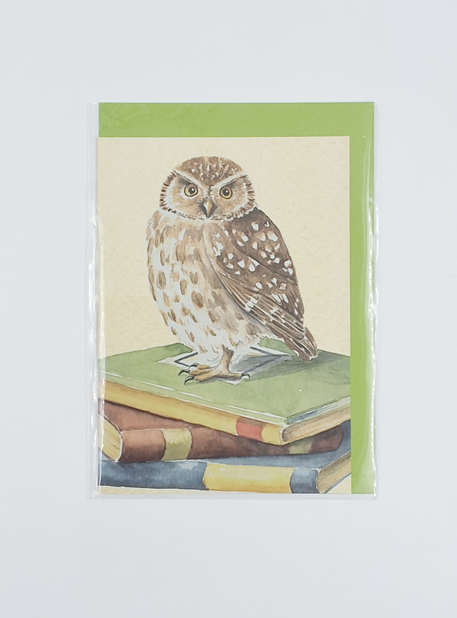 Wenskaart uil, boeken geslaagd (F12321)