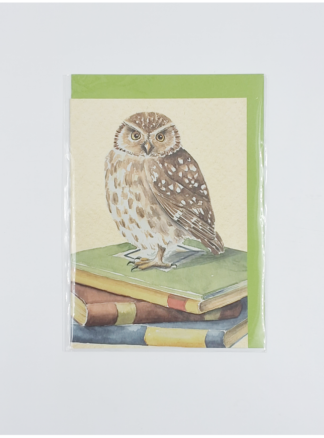 Wenskaart uil, boeken geslaagd (F12321)