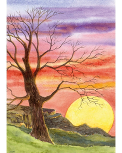 Wenskaart boom zonsondergang condoleance (F12337)
