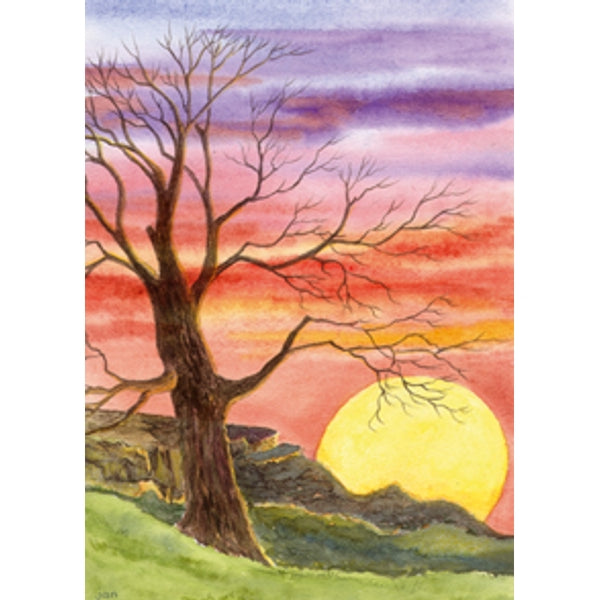 Wenskaart boom zonsondergang condoleance (F12337)