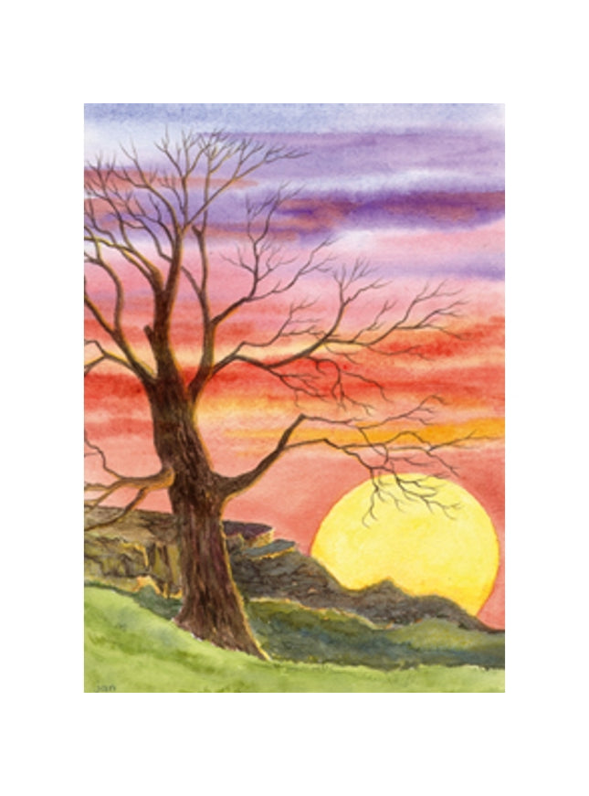 Wenskaart boom zonsondergang condoleance (F12337)