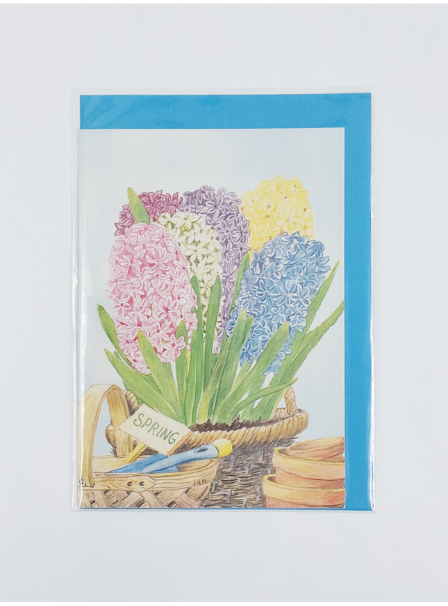 Carte de vœux jacinthes dans un panier