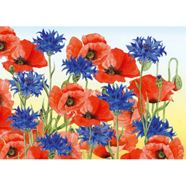 Wenskaart korenbloem klaprozen (F12353)