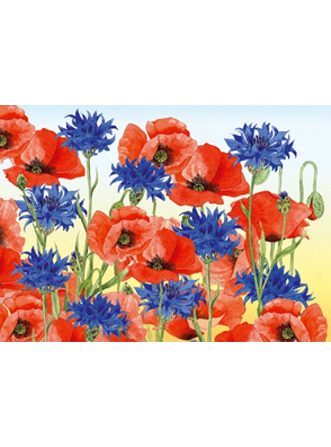 Wenskaart korenbloem klaprozen (F12353)