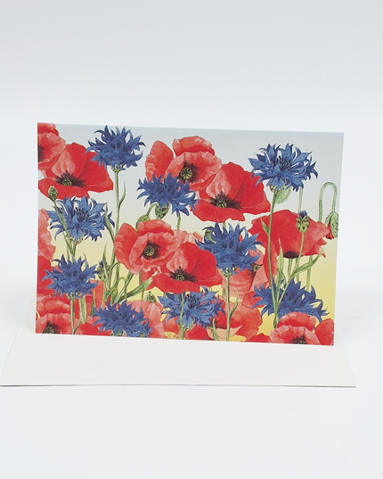 Wenskaart korenbloem klaprozen (F12353)