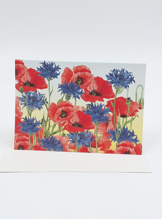 Wenskaart korenbloem klaprozen (F12353)
