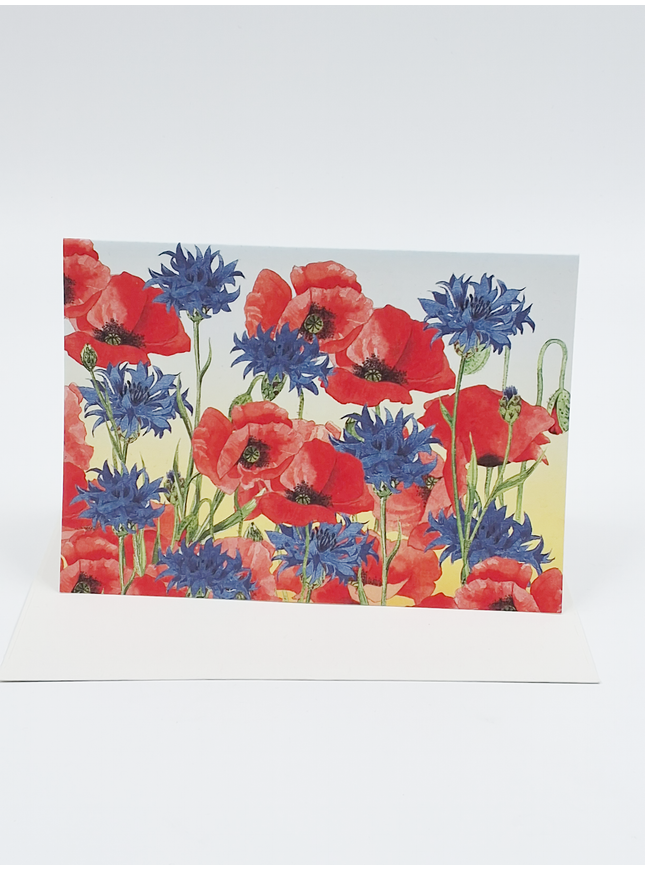Wenskaart korenbloem klaprozen (F12353)