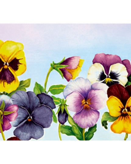 Greeting card violets Muriël (F12402)