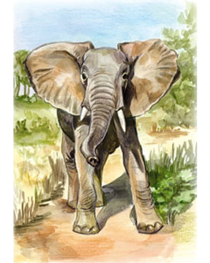 Wenskaart olifant (F12423)