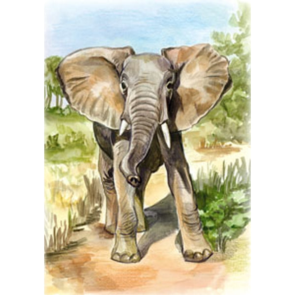 Wenskaart olifant (F12423)