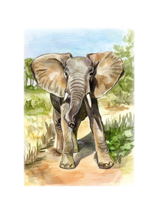 Wenskaart olifant (F12423)