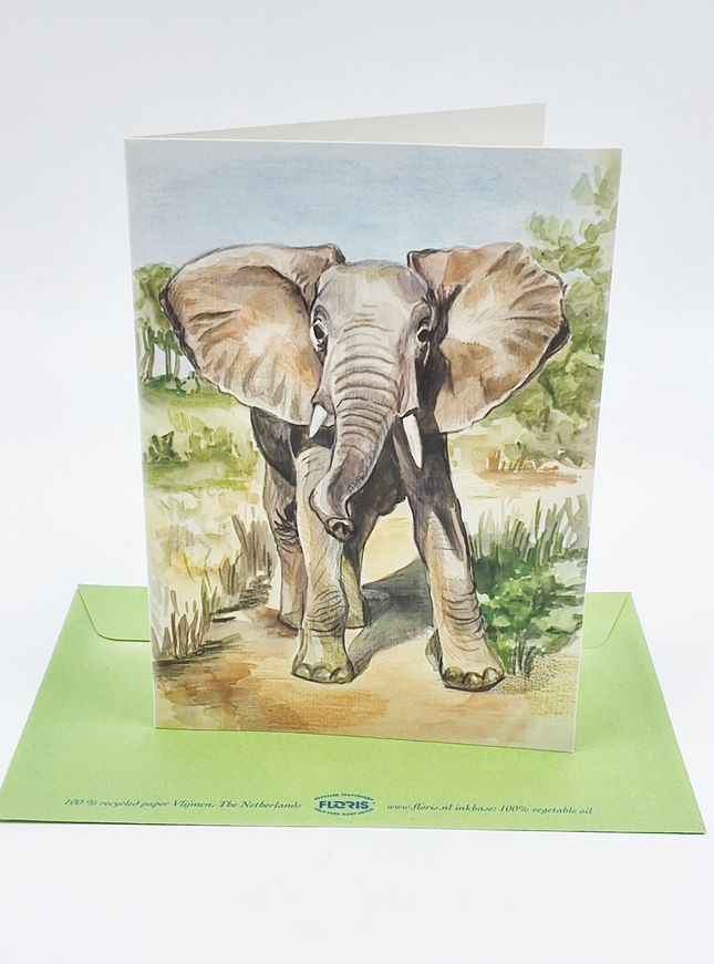 Wenskaart olifant (F12423)
