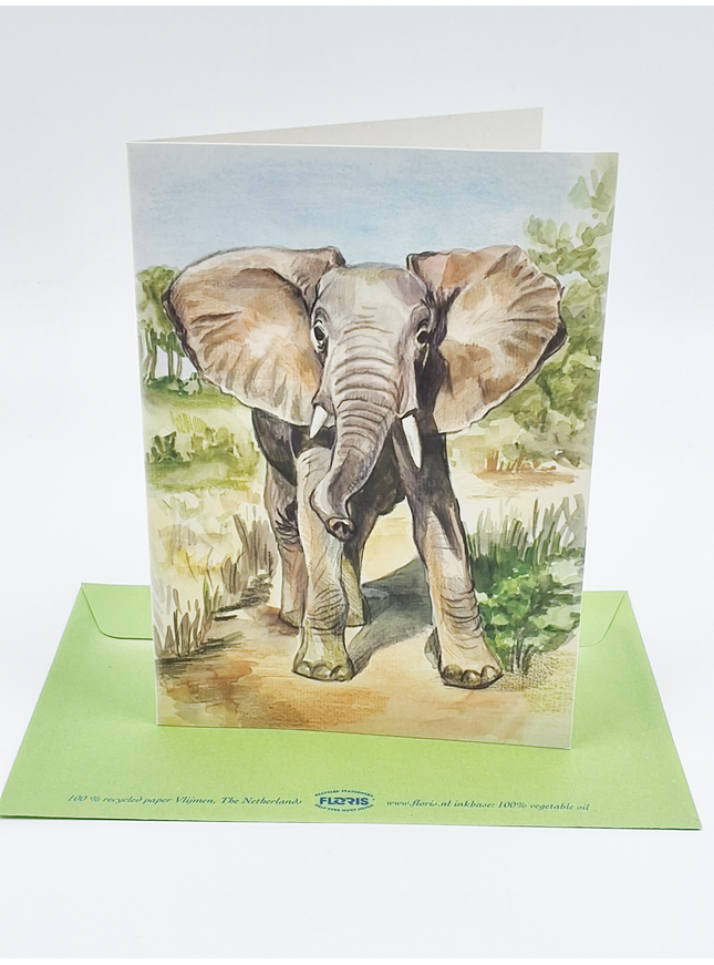 Wenskaart olifant (F12423)