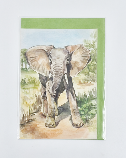 Wenskaart olifant (F12423)