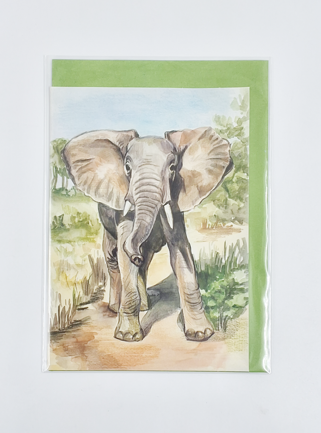 Wenskaart olifant (F12423)