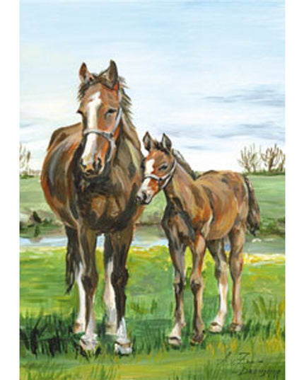 Wenskaart paard met veulen (F12424)