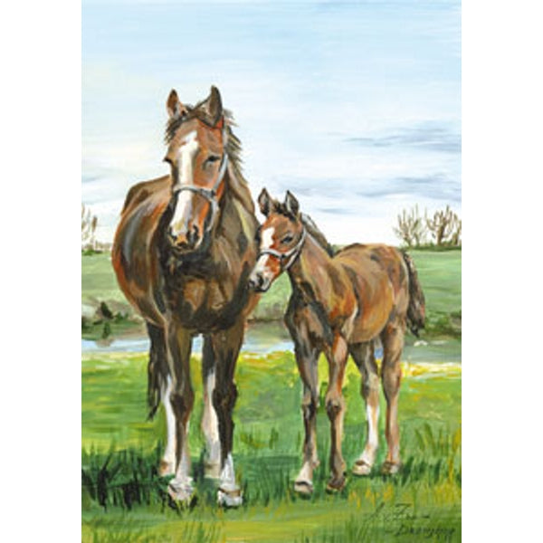 Wenskaart paard met veulen (F12424)