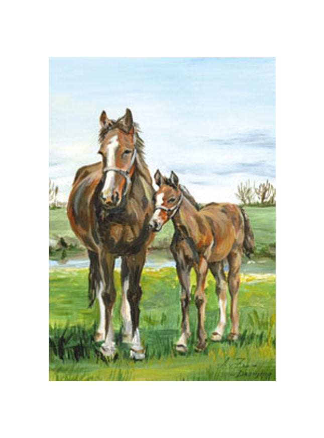 Wenskaart paard met veulen (F12424)