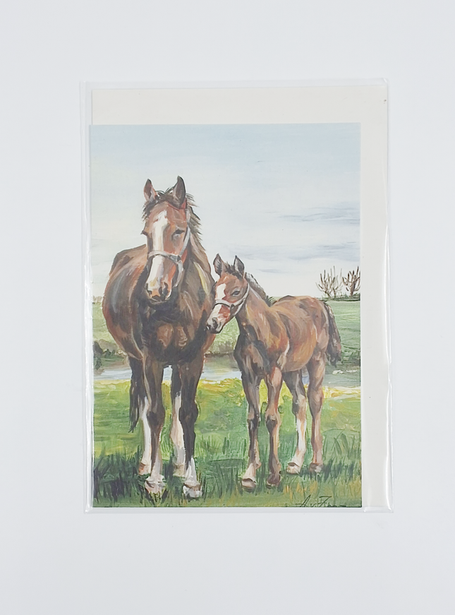 Wenskaart paard met veulen (F12424)