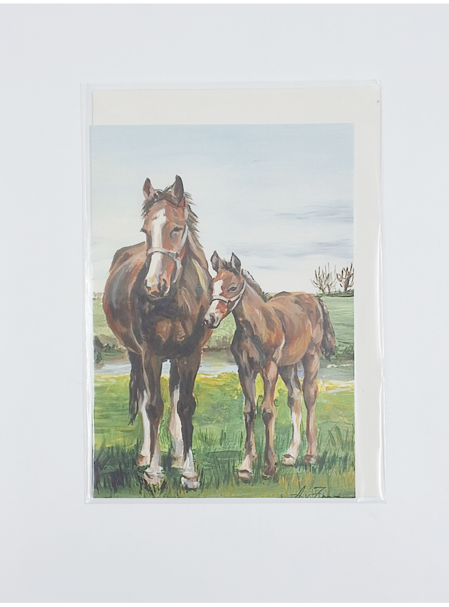 Wenskaart paard met veulen (F12424)